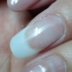 画像5: Natural Field ドットシルクラップ (10枚入) ［メール便OK］ (5)