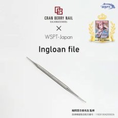 画像1: StarBits byWSPTJAPAN【鯨岡先生監修】 2Way イングローンファイル ［メール便OK］ (1)