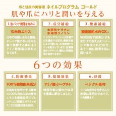 画像4: NFS　ネイルプログラムゴールド 14ml (4)