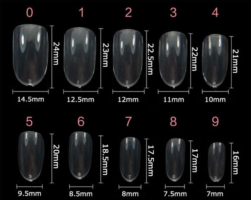 画像1: ちょうどよい長さでサンプルチップに最適★オーバル ナチュラル 500枚［メール便OK］