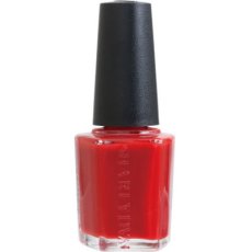 画像1: 検定色 SHAREYDVA ネイルカラー No.116 トゥルーレッド 平筆 15ml (1)