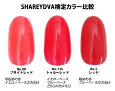 画像6: 検定色 SHAREYDVA シャレドワカラー No.05 レッド 平筆/丸筆 15ml (6)