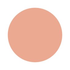 画像2: 検定色 noiro ネイルカラー プロフェッショナルライン P006 11ml［メール便OK］ (2)