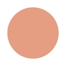 画像2: 検定色 noiro ネイルカラー プロフェッショナルライン P008 11ml［メール便OK］ (2)