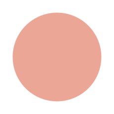 画像2: 検定色 noiro ネイルカラー プロフェッショナルライン P007 11ml［メール便OK］ (2)