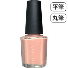 画像1: 検定色 SHAREYDVA シャレドワカラー No.92 アンティークベージュ 平筆/丸筆 15ml (1)