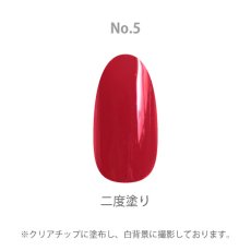画像2: 検定色 SHAREYDVA+ 速乾 ネイルカラー No.5 レッド 平筆 15ml (2)