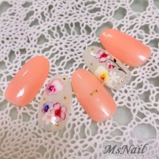 画像3: GELie シャーベットカラー 5g アプリコット G003［メール便OK］ (3)