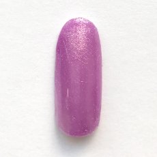 画像2: GELie シャーベットカラー 5g パープル G009［メール便OK］ (2)