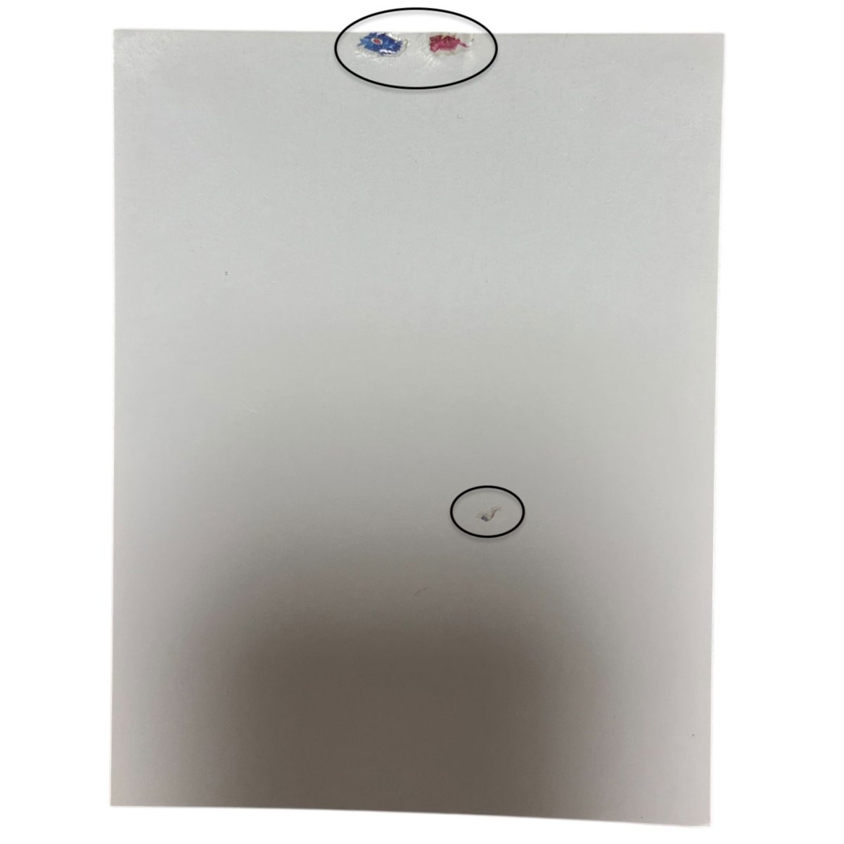 画像4: 訳あり★ネイルシール フラワー HANYI-246 ※パッケージなし［メール便OK］ (4)