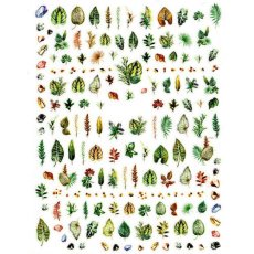 画像2: ネイルシール ボタニカル リーフ HANYI-152 ※パッケージなし［メール便OK］ (2)