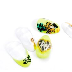 画像3: ネイルシール マルチサファリ HANYI-312 ※パッケージなし［メール便OK］ (3)