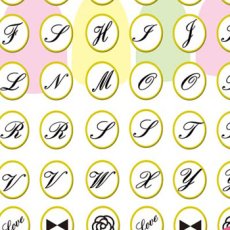 画像1: ビー・エヌ ベーシックシール ジェル盛りイニシャル BSC-14 ※パッケージなし［メール便OK］ (1)