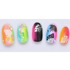 画像3: ウォーターネイルシール モンステラ DS-234 ※パッケージなし［メール便OK］ (3)