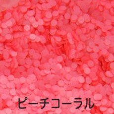 画像8: ネオンホログラム 各1g 1mm/2mm 丸 全12種類 ［メール便OK］ (8)