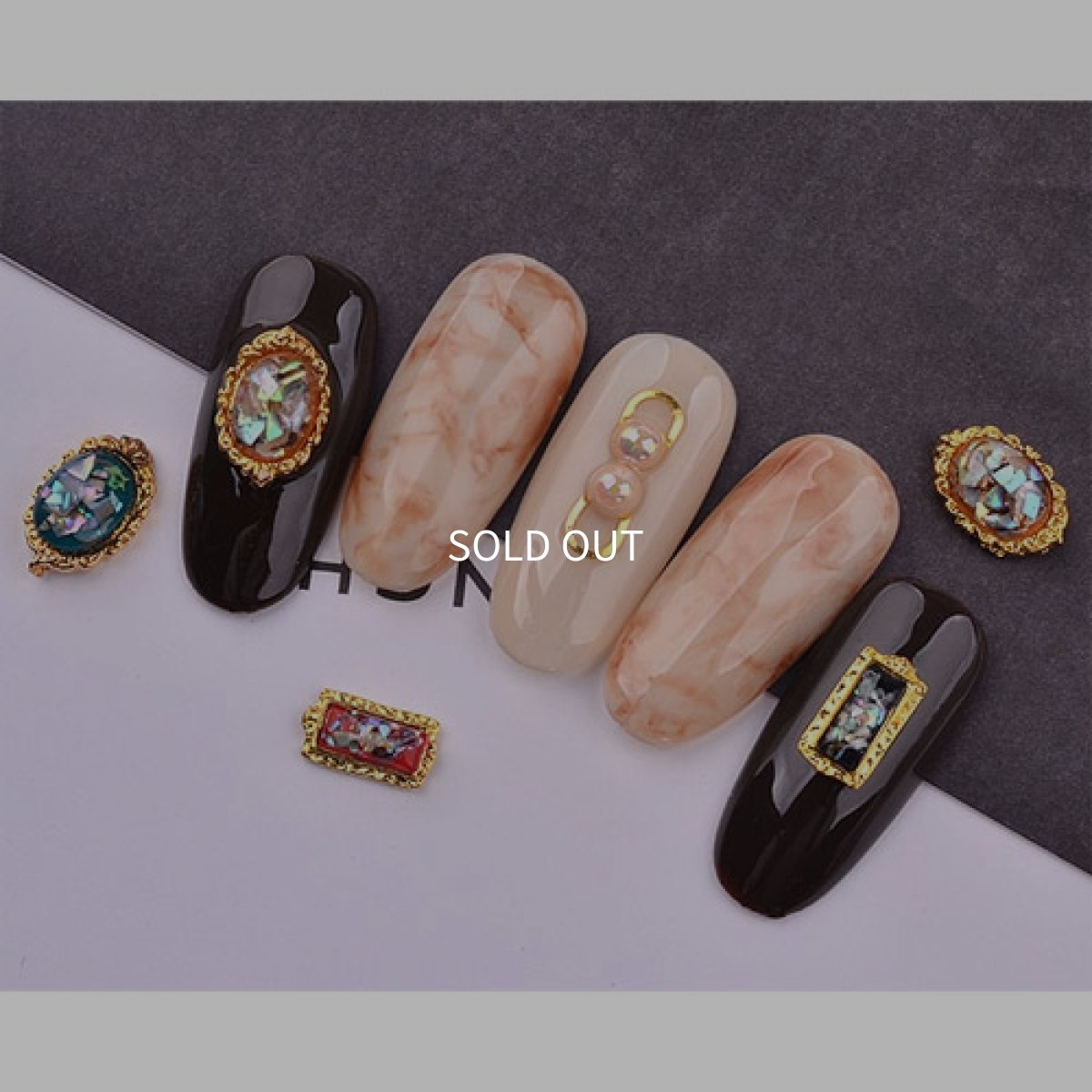 画像4: シェルパーツセット 12個 背面カーブ付［メール便OK］ (4)