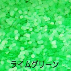 画像11: ネオンホログラム 各1g 1mm/2mm 丸 全12種類 ［メール便OK］ (11)