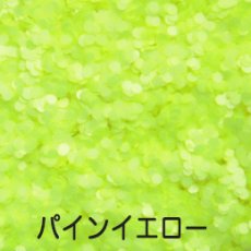 画像10: ネオンホログラム 各1g 1mm/2mm 丸 全12種類 ［メール便OK］ (10)