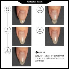 画像4: PREGEL ノンサンディングフィル 20g［メール便OK］ (4)