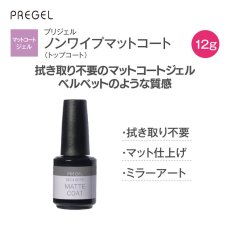 画像1: PREGEL ノンワイプマットコート 12g［メール便OK］ (1)