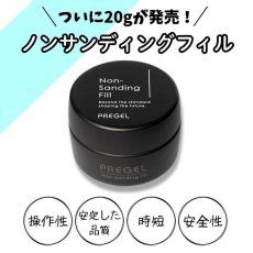 画像2: PREGEL ノンサンディングフィル 20g［メール便OK］ (2)