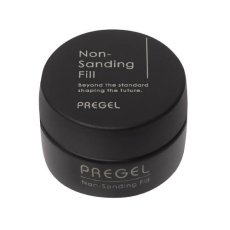 画像1: PREGEL ノンサンディングフィル 4g 工程表付き［メール便OK］ (1)