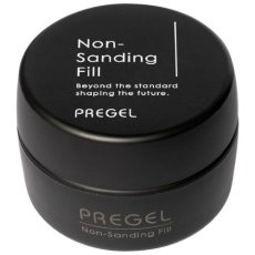 画像1: PREGEL ノンサンディングフィル 20g［メール便OK］ (1)