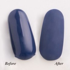 画像3: PREGEL マットコートR 4g［メール便OK］ (3)