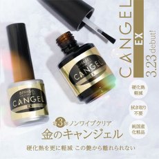 画像2: PREGEL ノンワイプクリア キャンジェルEX 8g/14g［メール便OK］ (2)