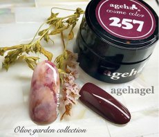 画像4: ageha コスメカラー 257 オールドブリックス 2.7g［メール便OK］ (4)