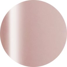 画像1: ageha コスメカラー 317 ロージーグレーA 2.7g［メール便OK］ (1)