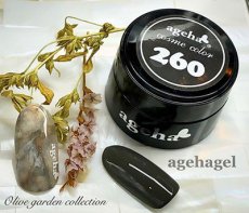 画像3: ageha コスメカラー 260 チャコールグレイ 2.7g［メール便OK］ (3)