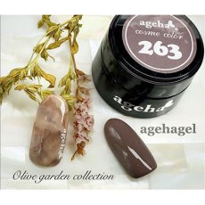 画像3: ageha コスメカラー 263 カオスブラウン 2.7g［メール便OK］ (3)
