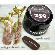 画像3: ageha コスメカラー 259 カニヴァラスブラウン 2.7g［メール便OK］ (3)