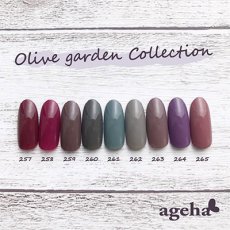 画像2: ageha コスメカラー 257 オールドブリックス 2.7g［メール便OK］ (2)