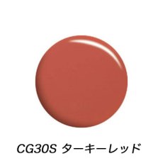 画像9: 在庫限り★Calgel カラージェル 4g 全6色 ※UV専用［メール便OK］ (9)