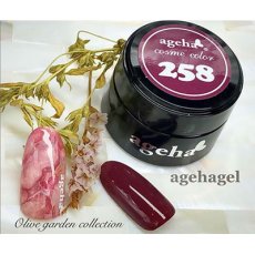 画像3: ageha コスメカラー 258 ブリックス 2.7g［メール便OK］ (3)