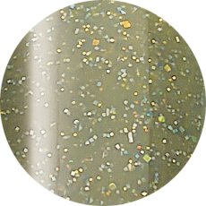 画像1: ageha コスメカラー 170 ダークフォレスト 2.7g［メール便OK］ (1)