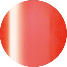 2-02 ネオンオレンジ