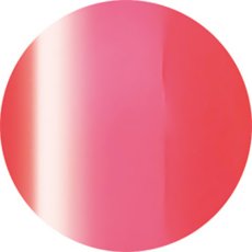 1-02 カーマインチーク