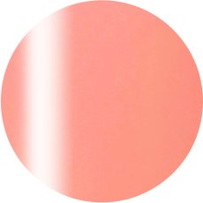 2-07 アプリコットジンジャー