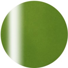 2-14 ファニーバグズ