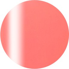 2-05 プラムピンク