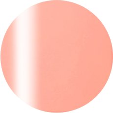 2-06 ピンクネクター