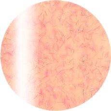 4-23 ベビーオレンジモフ