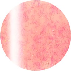 4-24 ベビーピンクモフ