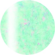 4-21 ベビーグリーンモフ