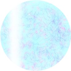 4-20 ベビーブルーモフ