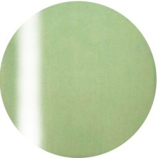 5-17 マスカレードモスグリーン