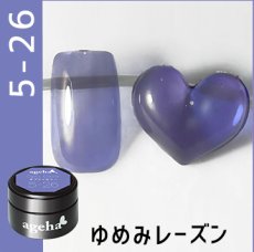 5-26 ゆめみレーズン